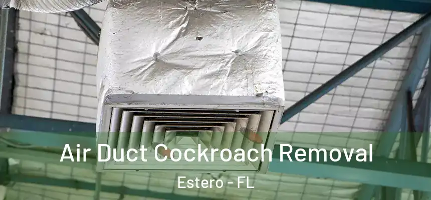  Air Duct Cockroach Removal Estero - FL