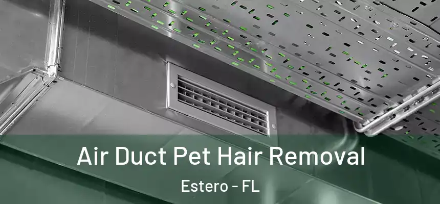  Air Duct Pet Hair Removal Estero - FL