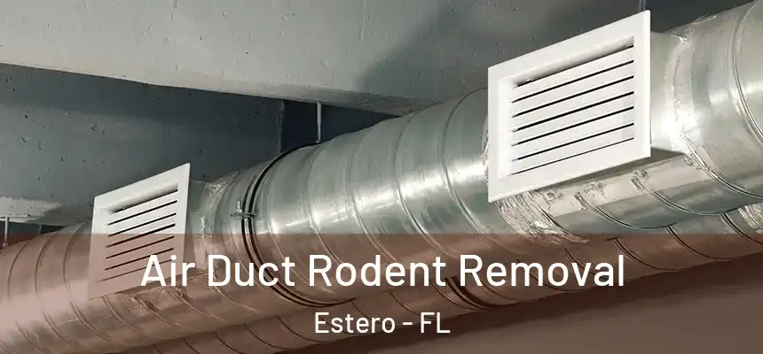  Air Duct Rodent Removal Estero - FL