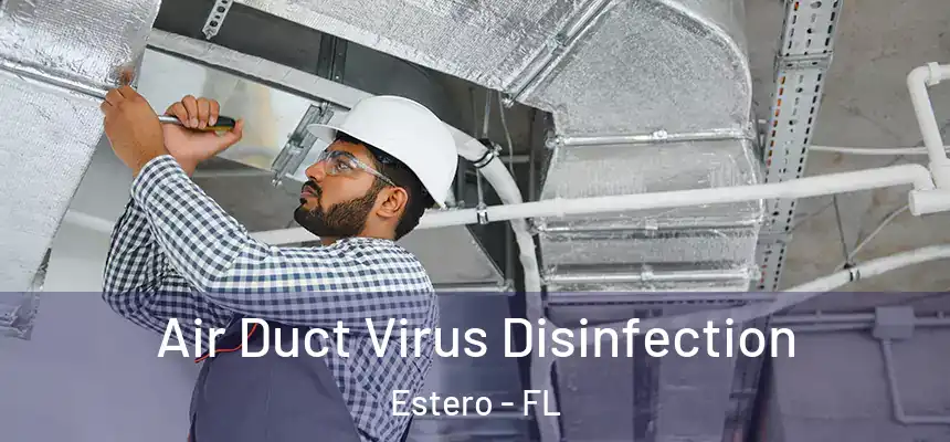  Air Duct Virus Disinfection Estero - FL