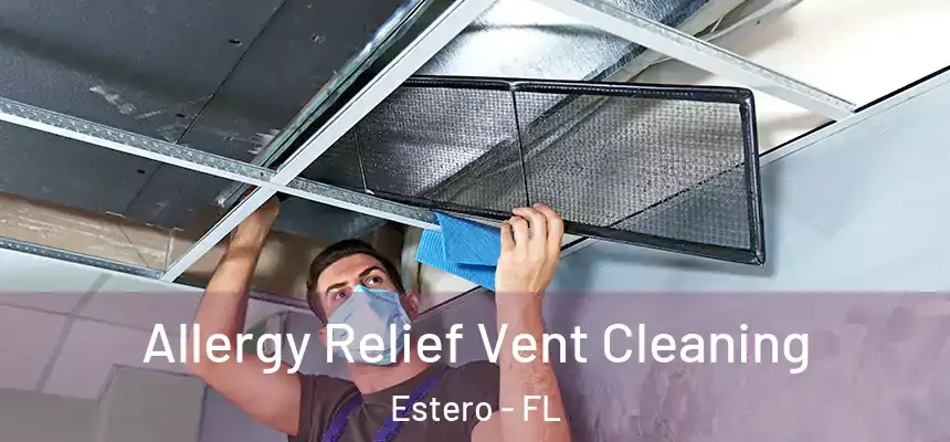 Allergy Relief Vent Cleaning Estero - FL