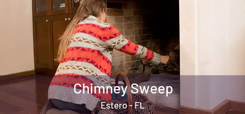 Chimney Sweep Estero - FL