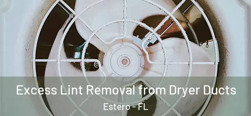  Excess Lint Removal from Dryer Ducts Estero - FL