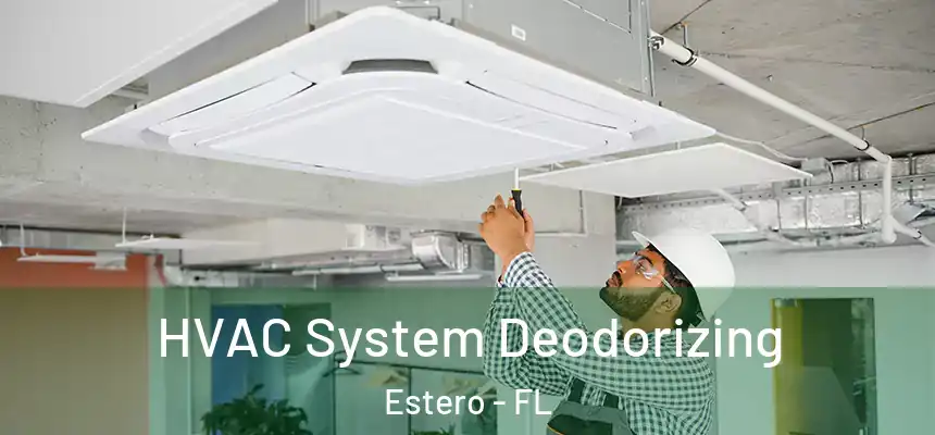  HVAC System Deodorizing Estero - FL