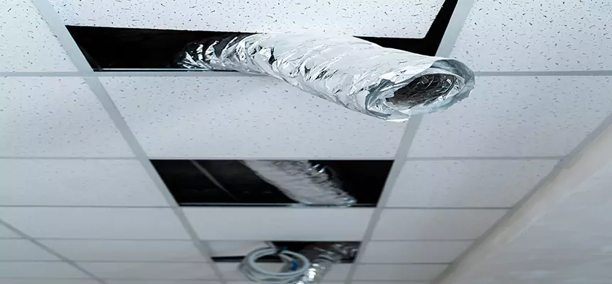 Our Air Duct Pet Hair Removal Services in Estero, FL