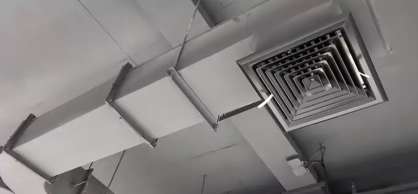 Restorative Allergy Relief Vent Cleaning – Coil, Blower & Housing Detail in Estero