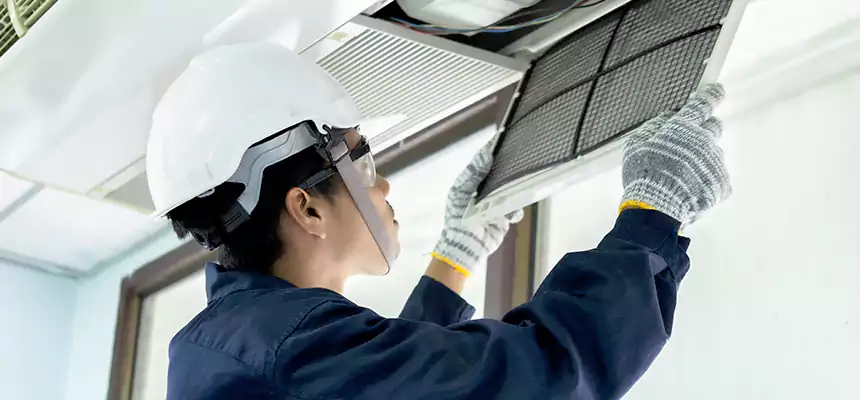 Our Mold & Mildew Removal from Air Ducts Services in Estero, FL