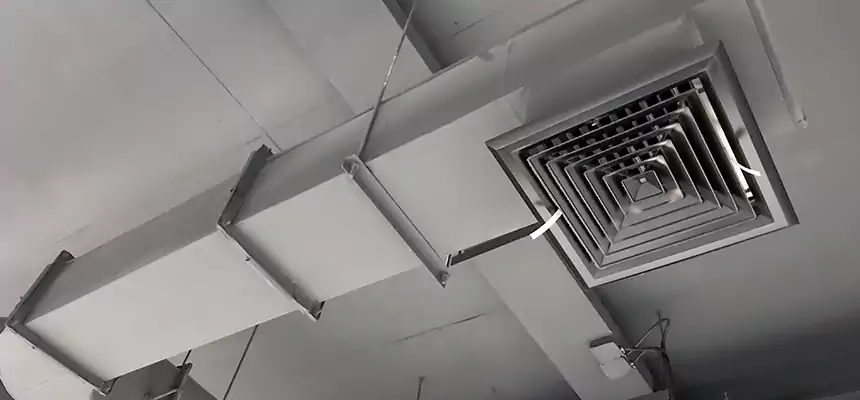 Our Pest Removal From Ducts Services in Estero, FL