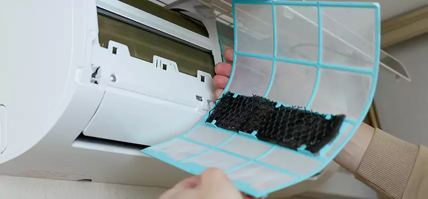 Gentle Ductwork Odor-Control Pet Dander Duct Cleaning in Estero, FL