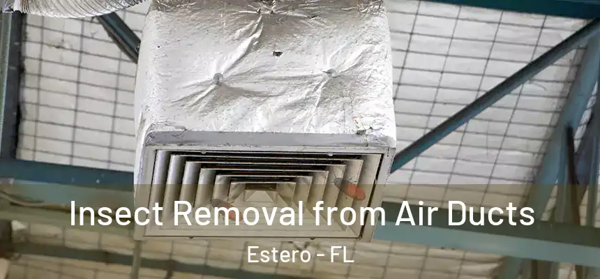  Insect Removal from Air Ducts Estero - FL