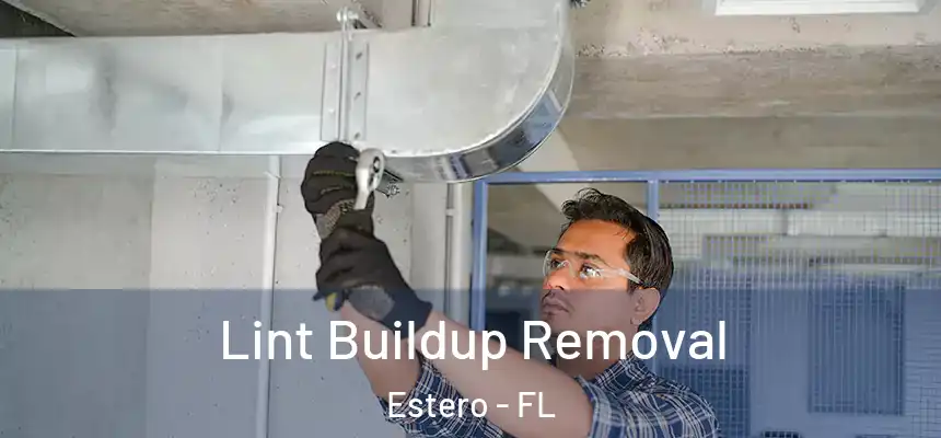  Lint Buildup Removal Estero - FL