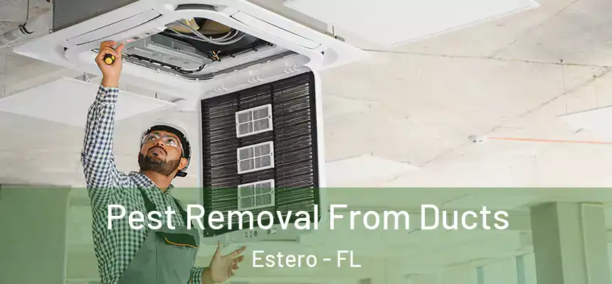 Pest Removal From Ducts Estero - FL