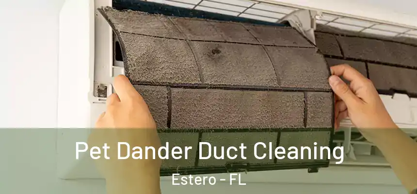  Pet Dander Duct Cleaning Estero - FL