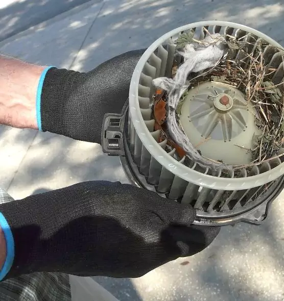 About Air Duct Mice Removal in Estero, FL