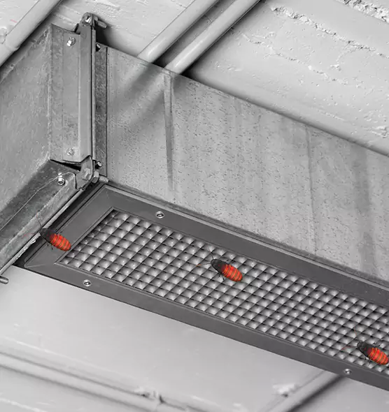 Affordable Insect Removal from Air Ducts in Estero, FL