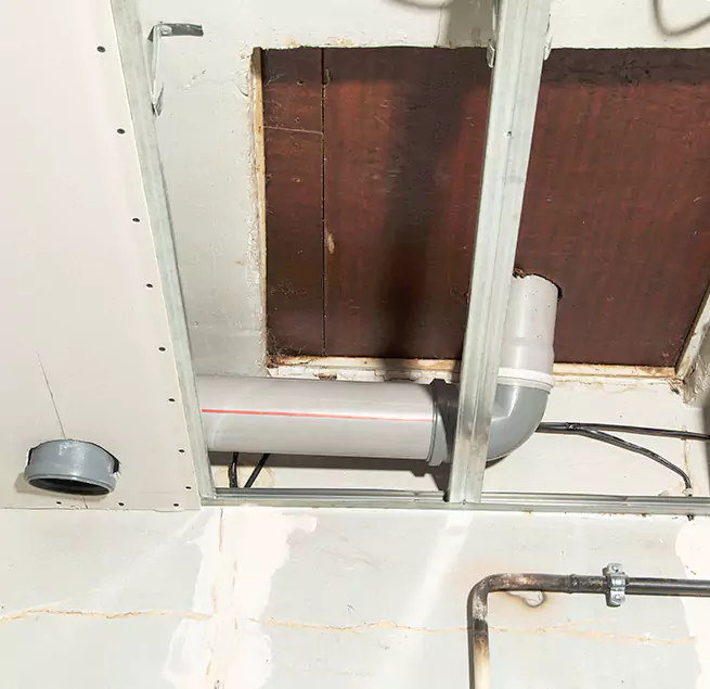 Why Homeowners & Businesses Trust Us in Estero, FL?