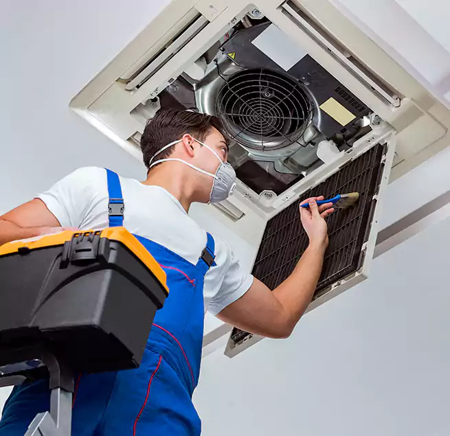 Why Homeowners & Businesses Trust Us in Estero, FL