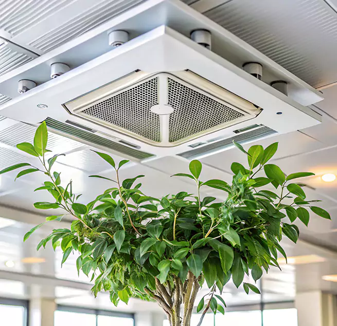 Why Homeowners & Businesses Trust Us in Estero, FL?