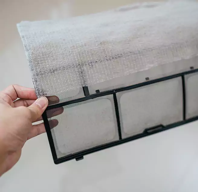 Why Homeowners & Businesses Trust Us in Estero, FL?