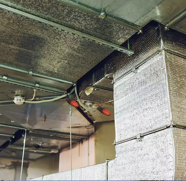 Why Homeowners & Businesses Trust Us Estero, FL?