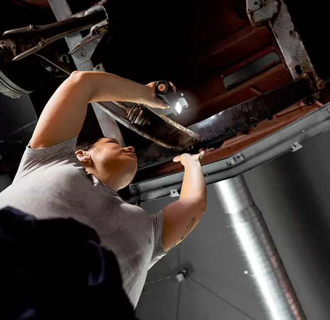 Why Homeowners & Businesses Trust Us Estero, FL